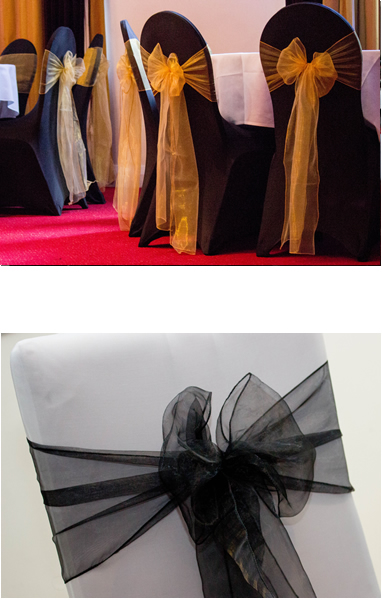 Satin and Organza