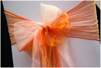 Orange Chair Bow