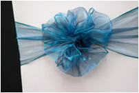 Blue Ruffle