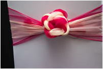 Pink and Cream Knot