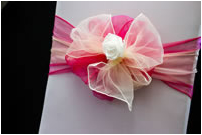 Pink and Cream Bow with White Rose