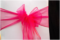 Fushia Pink Chair Tie
