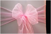 Soft Pink Chair Tie