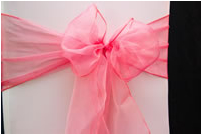 Pink Chair Tie
