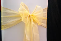 Orange Chair Bow