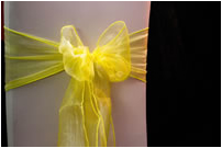 Bright Yellow Chair Tie