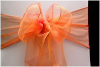 Orange Bow
