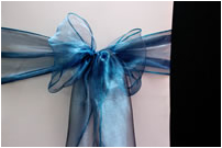 Metallic Blue Bow