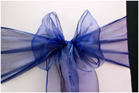 Blue Bow