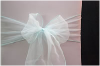 Aqua Bow