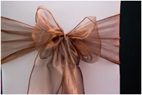 Copper Shimmer