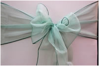Light Green Shimmer