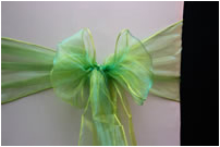 Bright Green Shimmer
