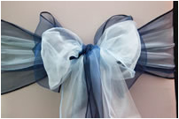 Blue and WHite Bow