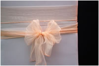 Peach Chair Bow