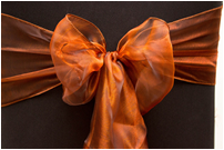 Orange Shimmer Bow on Brown Chair